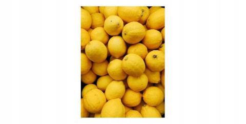 MORNING FRESH PŁYN DO MYCIA NACZYŃ LEMON 450ml MORNING FRESH PŁYN DO MYCIA NACZYŃ LEMON 450ml